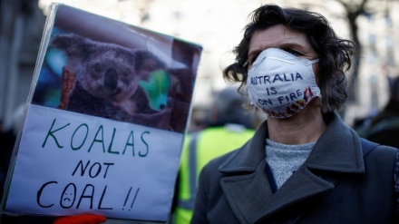 Australia's 'black summer' provides glimmer of hope for climate policy action