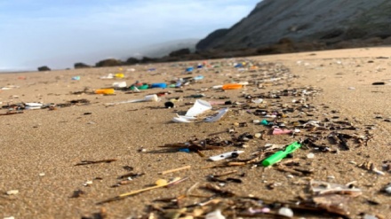 Scientists gather to study risk from microplastic pollution