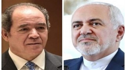 Iranian, Algerian top diplomats discuss Palestine