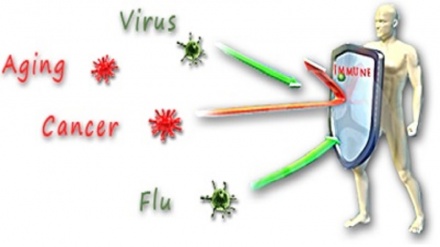 از سرما خوردگی و آنفولانزا تا کرونا ویروس: 5 روش موثر برای تقویت سیستم ایمنی بدن
