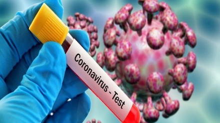 Mengenali Cara Kerja Rapid Test Corona