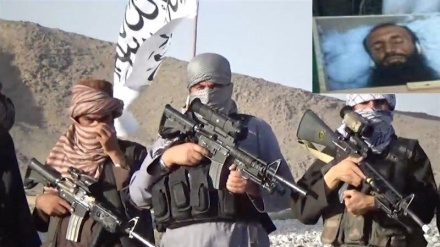 تلفات سنگین نظامیان افغان در حملات طالبان
