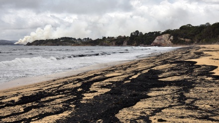 Australia’s marine animals are the fires’ unseen victims
