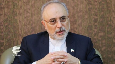 صالحی پس از دیدار با گروسی: ایران تحت فشار تصمیم نمی گیرد 