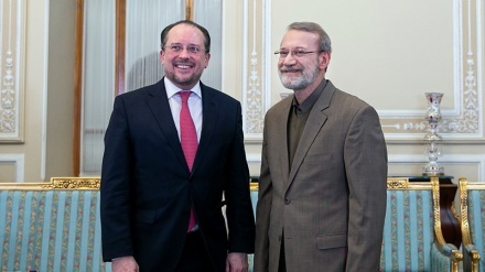 Pertemuan Ketua Parlemen Iran dan Menlu Austria 