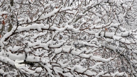 Video: Hermosa nieve en Urmía, Irán
