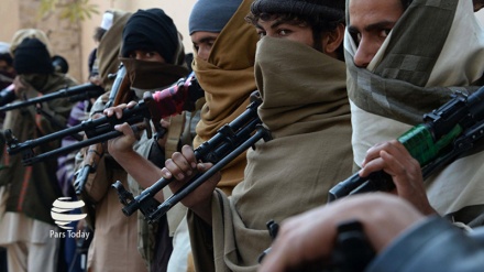 حملات گسترده طالبان در 16 ولایت افغانستان 