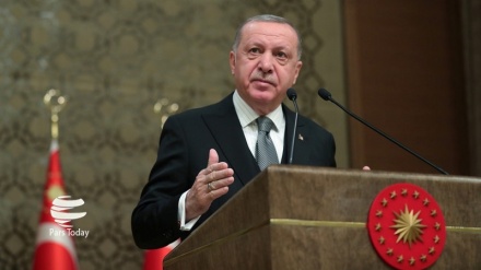 اردوغان: کشورهای عربی حامی 