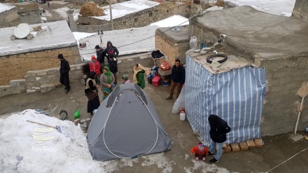 افزایش شمار مصدومان زلزله شمال غرب ایران