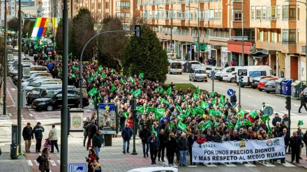 Agricultores se manifiestan en Madrid