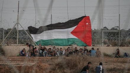 加沙达成停火协议