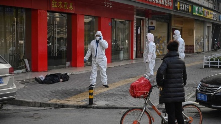 疫情影响全球旅游业并中国旅行业也将迎来新的机遇与挑战