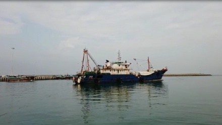 イラン南部領海で、中国漁船が拿捕（動画）
