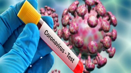 欧州諸国で、相次いで初のコロナウイルス感染患者が確認