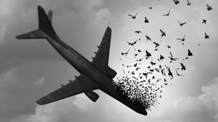 L'Iran et la Suède rejettent la politisation du crash d'un avion de l’ligne ukrainien en Iran