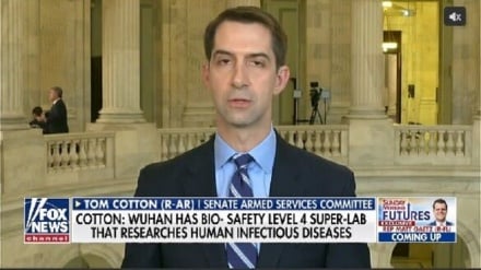 美国参议员指责中国制造新型冠状病毒