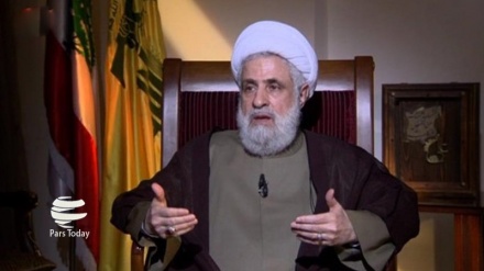 纳伊姆·卡西姆：真主党将对黎巴嫩新政府投信任票