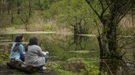 La zone humide de Qadikala, une plaque tournante du voyage dans le nord de l'Iran