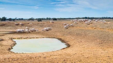 Rare natural phenomenon brings severe drought to Australia