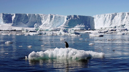 Virus Purba Bangkit!