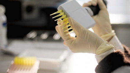 Петербурглик вирусологлар COVID-19га қарши вакцина қачон пайдо бўлишини маълум қилишди  