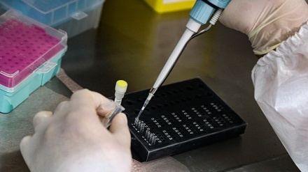 Cina, sì all'indagine Oms sul virus