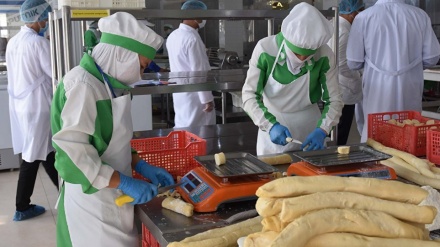 دستور معاون نخست وزیر تاجیکستان برای رفع مشکلات شرکتهای تولیدی مواد غذایی
