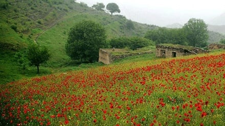 阿塞拜疆省北部的黑山（Arasbaran）地区