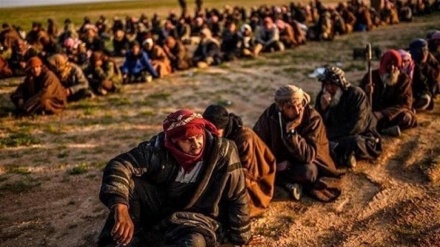  Terroristas de Daesh huyen de cárcel de fuerzas apoyadas por EEUU