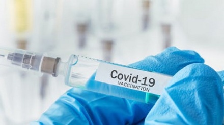 ЖССТ:  коронавирусга қарши вакцина ишлаб чиқариш учун 70 лойиҳа амалга оширилмоқда