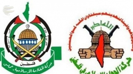 哈马斯：抵抗是解放巴勒斯坦领土的唯一途径