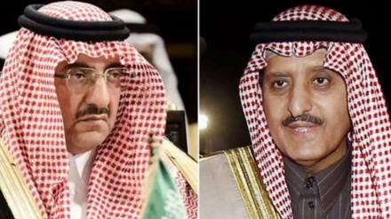 Penangkapan Pangeran Saingan dan Rekayasa Kekuasaan di Arab Saudi
