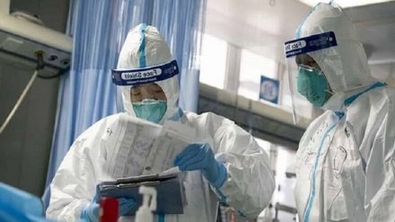 中国研究者、「新型コロナは2種類に分類可能」