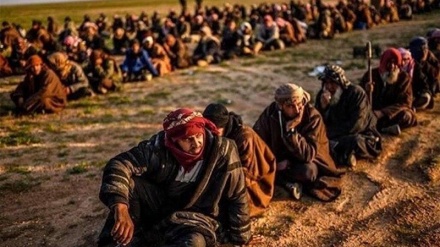 Arratisen të burgosurit anëtarë të ISIS nga burgu Hesake në Siri