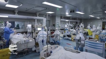 Дунё миқёсида коронавирус зарари борасидаги сўнгги маълумотлар