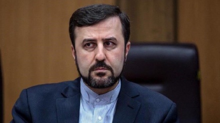 आईएईए ईरान में स्वतंत्रता से काम कर सकता है, ईरान 