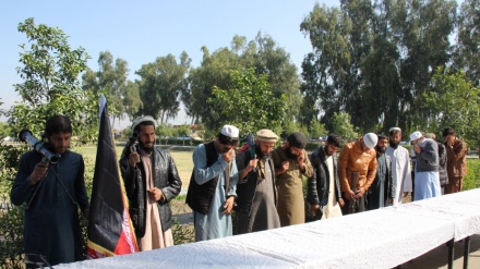 پیوستن 14 عضو طالبان به پروسه صلح در ولایت ننگرهار+تصاویر