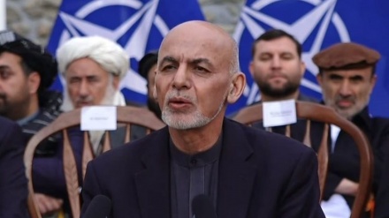 阿什拉夫·加尼：伊斯兰酋长国不是阿富汗制度