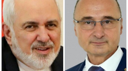 イラン外相、「ＥＵが新型ウイルス対策でイランを支援」