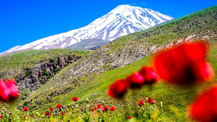 Natyra pranverore në vende të ndryshme të botës