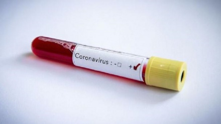 バングラデシュとモルディブで初の新型ウイルス感染者