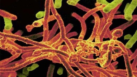 中国で別の感染症流行の可能性