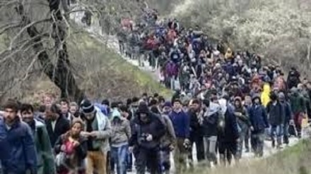 Migranti, la Serbia pronta a schierare l'esercito al confine 