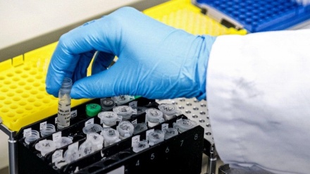 欧州で新型ウイルス抗体を発見