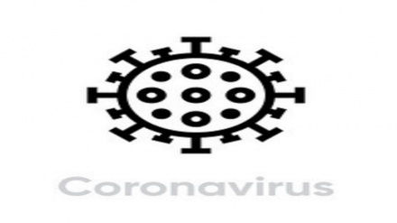 ویروس کرونا در مناطق گرم هم آلوده کننده است