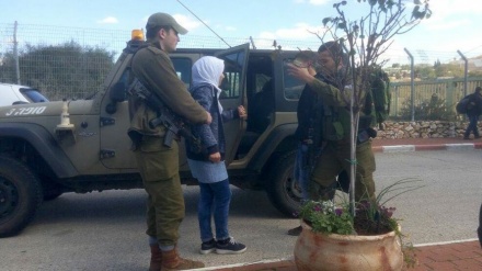 パレスチナ人女性43人がイスラエルの刑務所に収監中