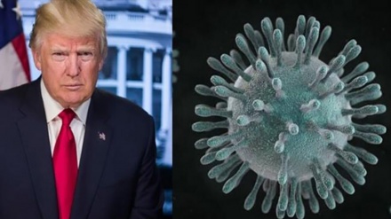 Coronavirus US : des réseaux sociaux occultes ?