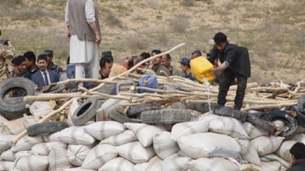 35 تن مواد مخدر در جوزجان امحاء شد