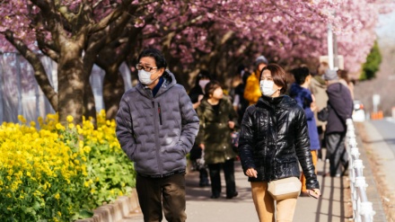 La biodiversidad, el escudo necesario para evitar futuros COVID-19