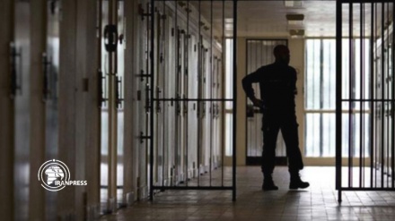 November, Tentara Zionis Tangkap 400 Orang Palestina